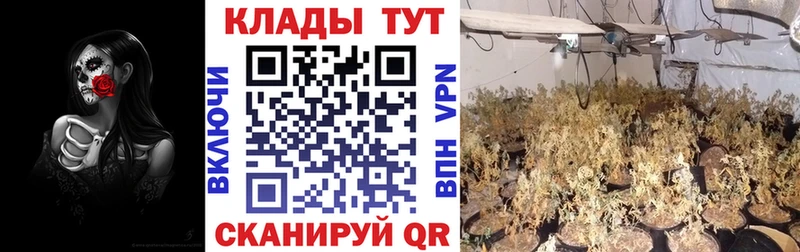 Купить наркотики сайты Козельск НБОМе Марихуана Галлюциногенные грибы АМФ ГАШИШ Меф Cocaine СОЛЬ