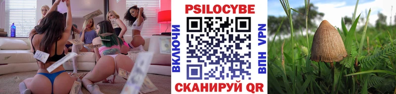 наркошоп Козельск Галлюциногенные грибы Psilocybe